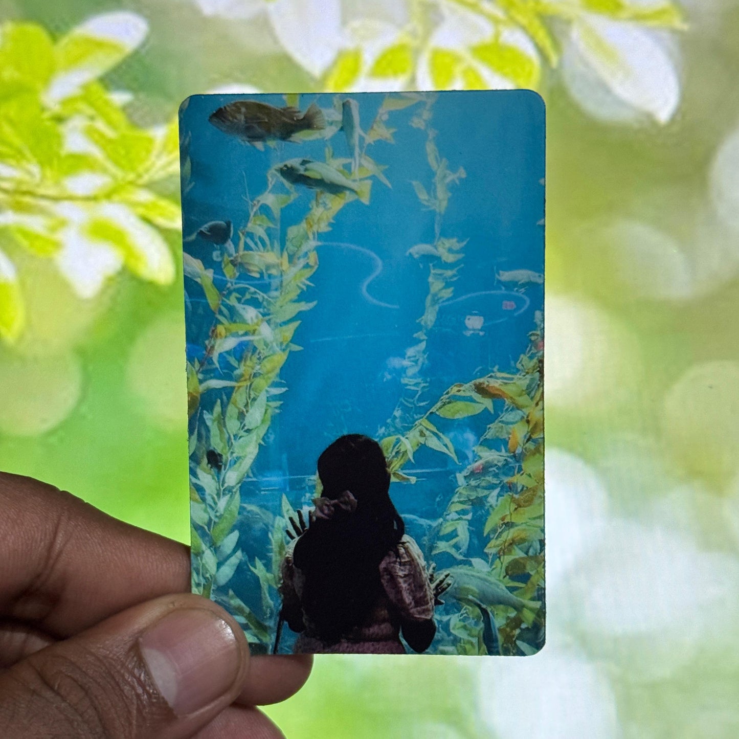 Photo wallet cards