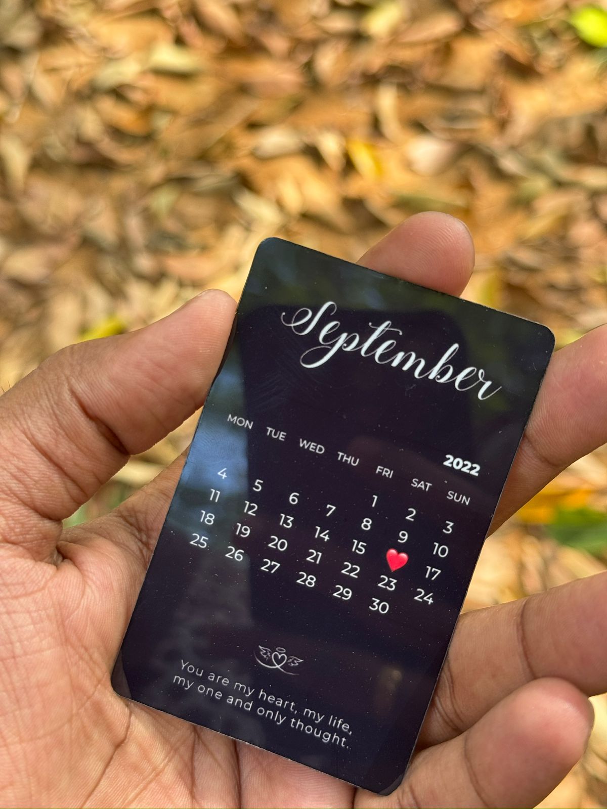 Calendar Wallet Cards