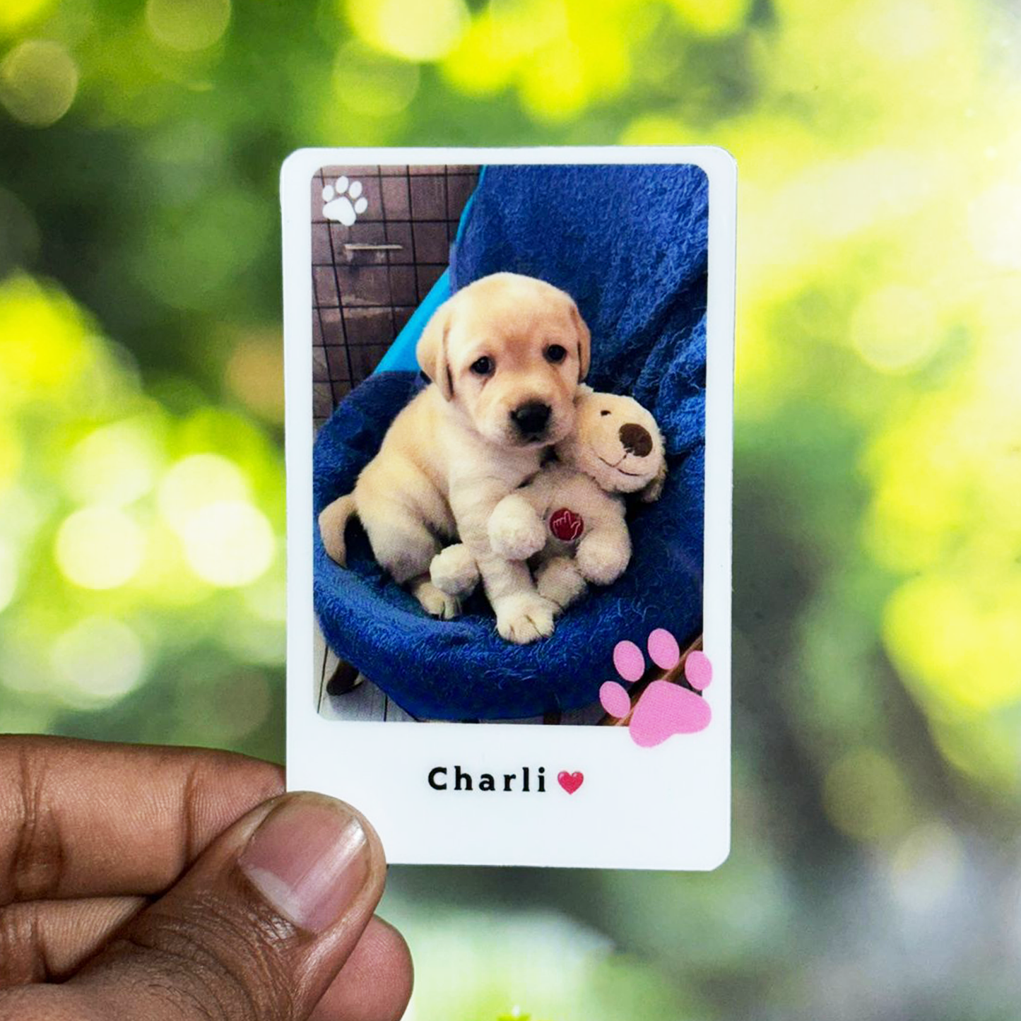Pet wallet card